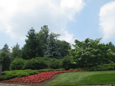 Cerami Lawns - Lawn Aeration in Toms River, NJ