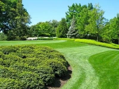 Cerami Lawns - Lawn Aeration in Toms River, NJ