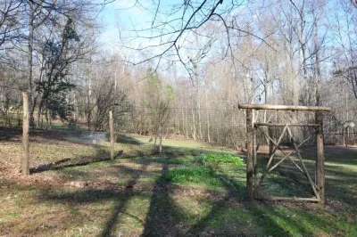 Chapel Hill Home Works - Tree & Shrub Care in Pittsboro, NC