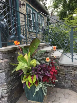 Container Gardening Projects — Landscape Construction project by Christie Dustman & Company INC. in Boston