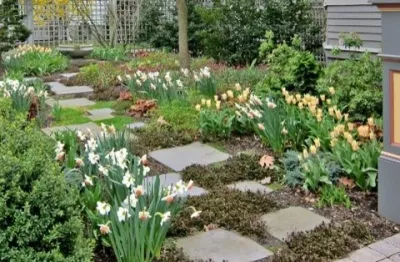 Perfect Palette, Brookline, MA — Landscape Construction project by Christie Dustman & Company INC.