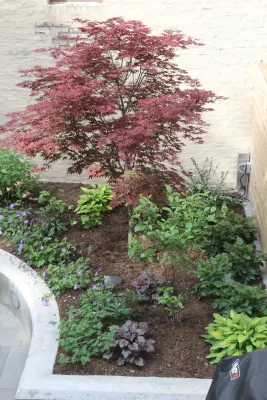 Christina Brown Gardens - Landscape Construction in Brooklyn, NY