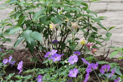 Christina Brown Gardens - Landscape Construction in Brooklyn, NY