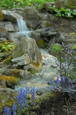 Charlotte Woodland Waterfall — Landscape Construction project by Church Hill Landscapes, Inc. in Charlotte