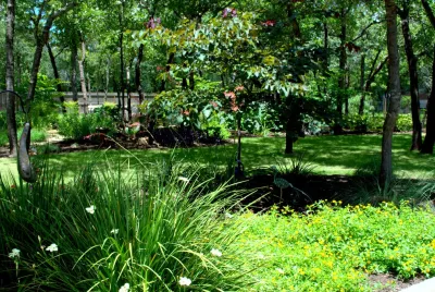 Circle B Landscape & Design, LLC - Tree Planting & Transplanting in la Vernia, TX