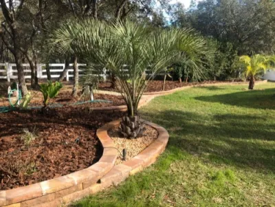 Landscape Edging (Retaining Wall) — Landscape Construction project by Citruscapes Lawn & Landscaping