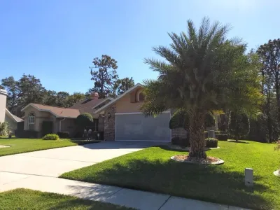 Complete Property Maintenance — Landscape Construction project by Citruscapes Lawn & Landscaping in Hernando
