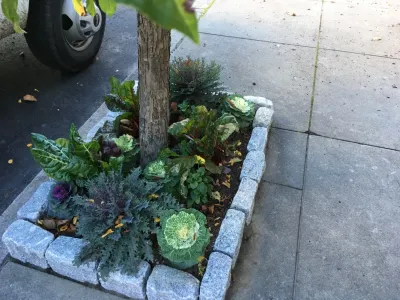 City & Estate Gardener - Tree & Shrub Care in Providence, RI