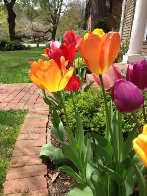 City & Estate Gardener - Tree & Shrub Care in Providence, RI
