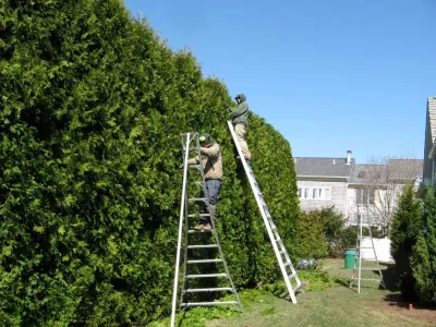 City & Estate Gardener - Tree & Shrub Care in Providence, RI