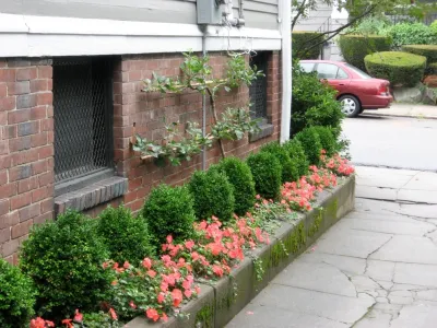 plants on a wall — Landscape Construction project by City & Estate Gardener in Providence