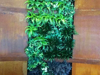 Plant wall in entry way — Landscape Construction project by City Plantscaping, LLC