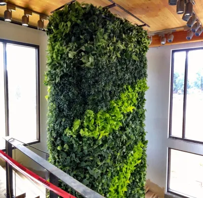 Fort Collins Green Living Wall — Landscape Construction project by City Plantscaping, LLC