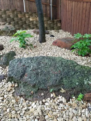 CLARK'S Custom Landscapes - Drip Irrigation System Installation in Denton, TX