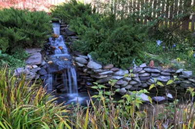 Natural Pond Landscape — Landscape Construction project by Classic Stonescaping & Gardens