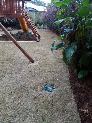 Clean Cut Landscape Co - Tree & Shrub Care in Kenner, LA