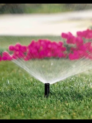Landscape Install Metairie — Landscape Construction project by Clean Cut Landscape Co in Kenner