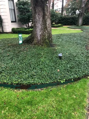 Clean Cut Landscape Co - Tree & Shrub Care in Kenner, LA