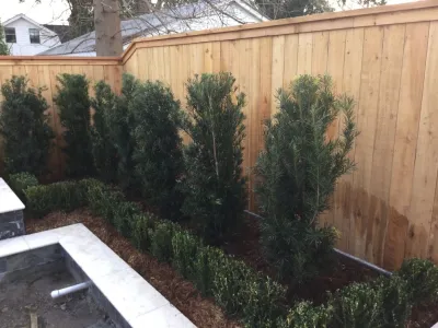 Clean Cut Landscape Co - Tree & Shrub Care in Kenner, LA