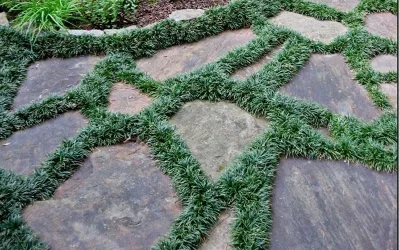 Clean Cut Landscape Co - Tree & Shrub Care in Kenner, LA