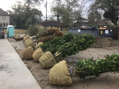 Clean Cut Landscape Co - Tree & Shrub Care in Kenner, LA