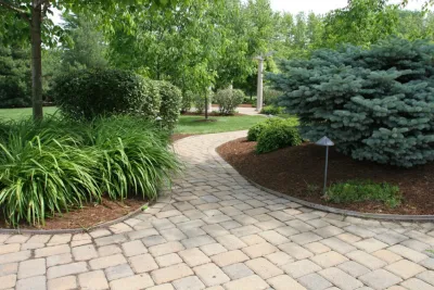 Clean Cut Lawn & Landscape - Landscape Maintenance in Muncie, IN