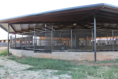 Equine Treadmill — Home Renovation & Remodeling Services project by Circle R5 Residential Services