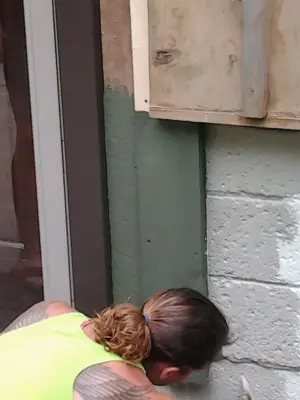 Thomas Dreistadt Enterprises - Insulation Installation in Sunbury, PA