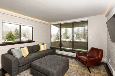 Athen Builders Inc - Interior Design & Decorating in Aspen, CO
