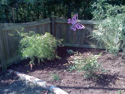 Coastal Landscape Design, LLC - Outdoor Lighting Installation in Charleston, SC