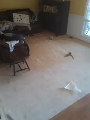 Laminate Floor Installation — Home Renovation & Remodeling Services project by Mo' Better Handyman