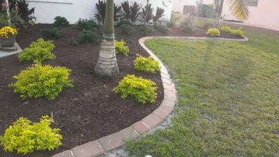 Coastal Quality Services, INC - Tree & Shrub Care in North Port, FL