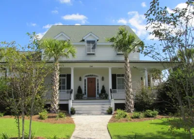 Palm Tree Gallery — Landscape Construction project by Cold Hardy Palms And Bamboo