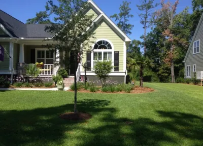 Cold Hardy Palms and Bamboo - Landscape Construction in Charleston, SC