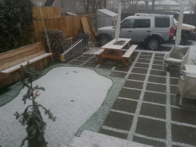 North Denver Small Backyard — Landscape Construction project by Collins Turf Division