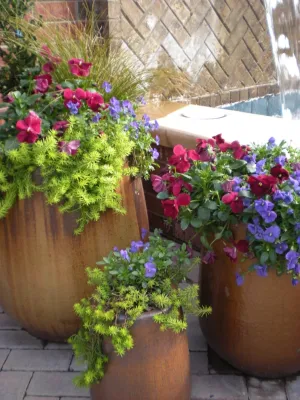 Color Burst - Landscape Construction in Grayson, GA