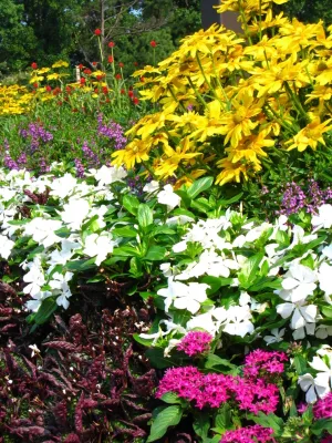 Color Burst - Landscape Construction in Grayson, GA