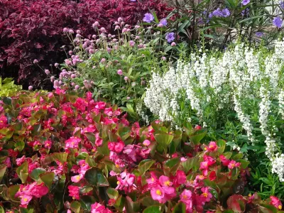 Color Burst - Landscape Construction in Grayson, GA