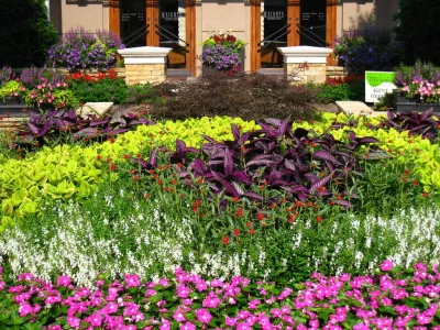 Color Burst - Landscape Construction in Grayson, GA