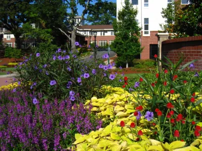 Color Burst - Landscape Construction in Grayson, GA