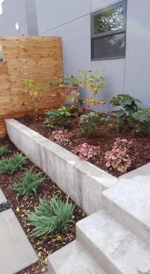 Colorado Native Roots Landscaping LLC - Sidewalk & Pathway Installation in Lakewood, CA