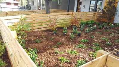 Colorado Native Roots Landscaping LLC - Sidewalk & Pathway Installation in Lakewood, CA