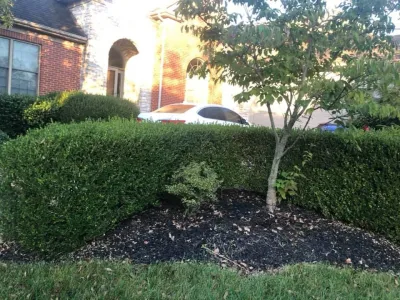 Harrinson's Landscaping - Landscape Maintenance in Lexington, KY