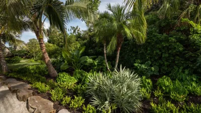 BORDEN Landscape Design - Outdoor Lighting Installation in Sarasota, FL
