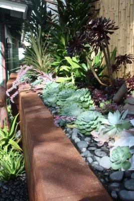 Columbine Landscape, Inc. - Tree & Shrub Care in Escondido, CA