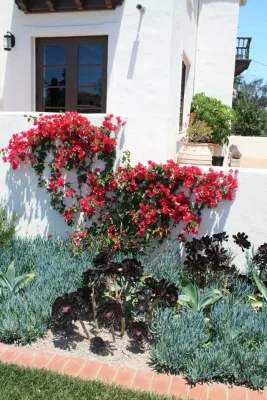 California Traditional, Mission Hills — Landscape Construction project by Columbine Landscape, Inc.