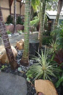 Columbine Landscape, Inc. - Tree & Shrub Care in Escondido, CA