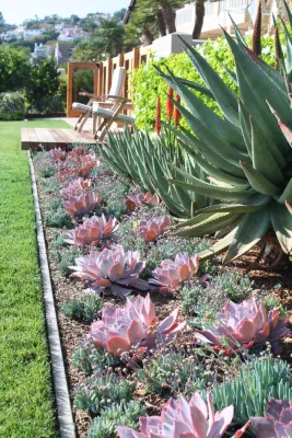 Columbine Landscape, Inc. - Tree & Shrub Care in Escondido, CA