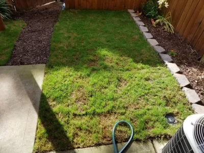 Sod and Garden Installation — Landscape Construction project by Community Development And Investment LLC