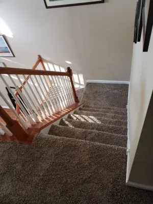 Bulldog Flooring & Installation - Carpet Installation in Pottstown, PA